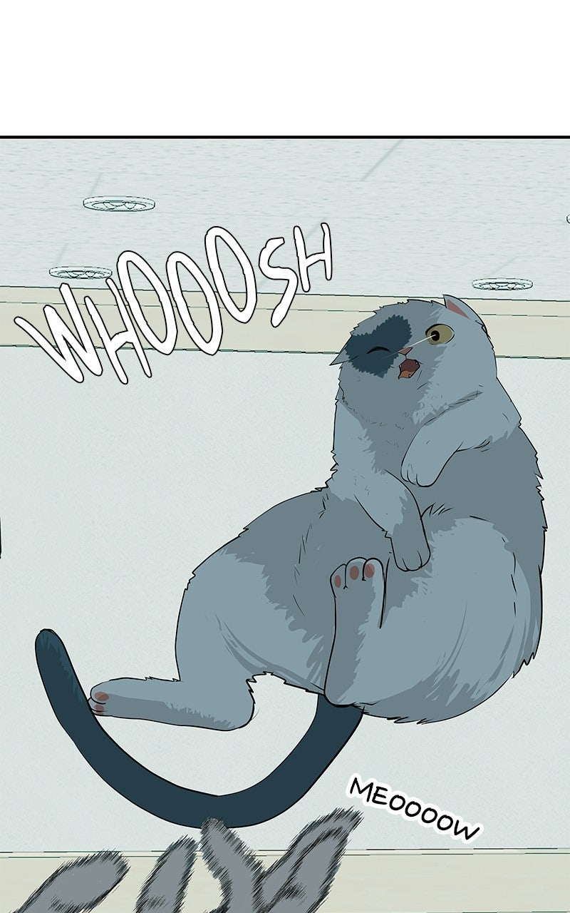 Radiant Rewind Ep. 71 - May You Always Be Where I Am page 150 - 