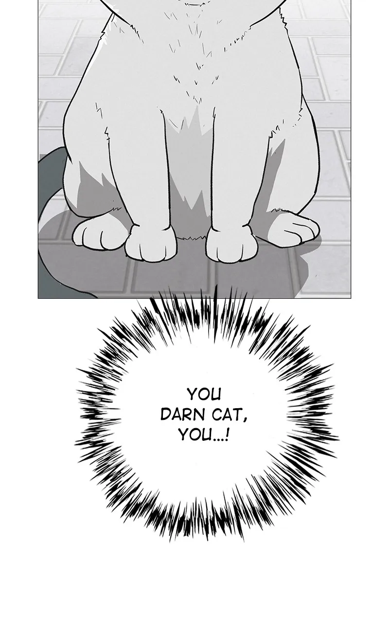 Radiant Rewind Chapter 9 page 35 - 
