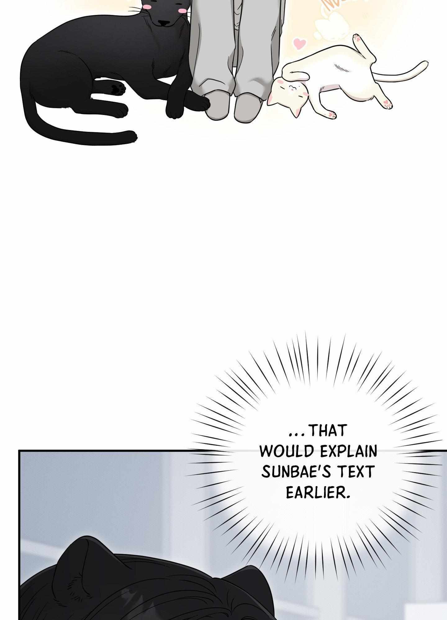 Raising a Cat Friend Chapter 13 page 28 - 