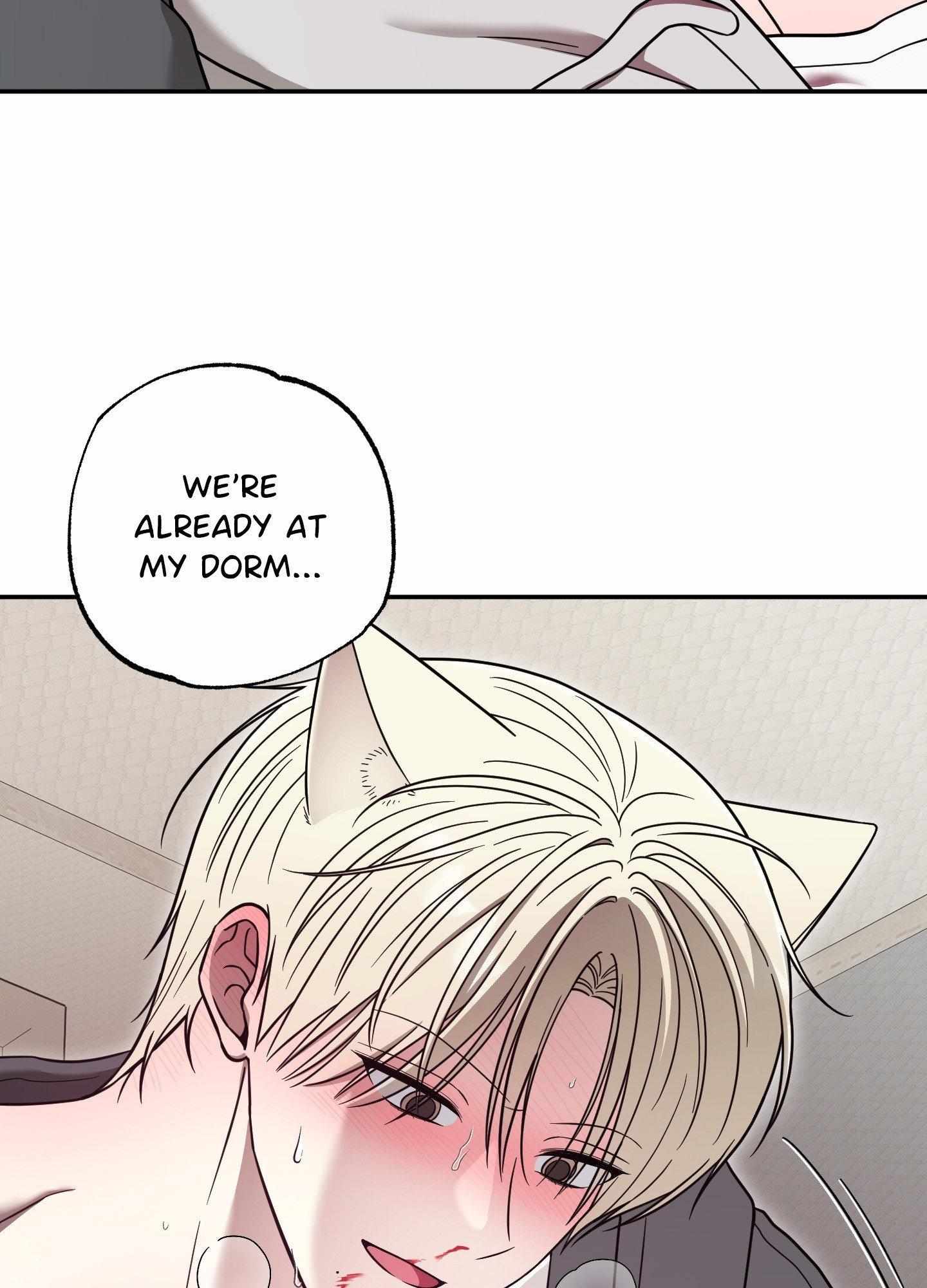 Raising a Cat Friend Chapter 16 page 84 - 