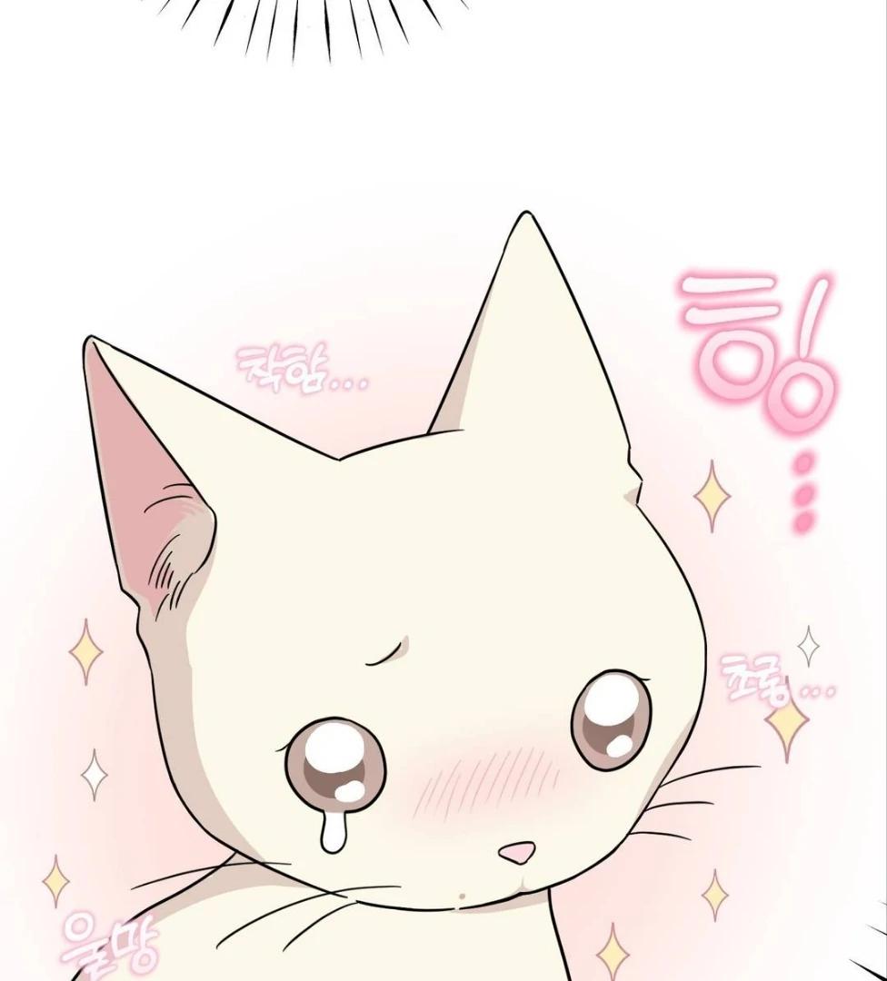 Raising a Cat Friend Chapter 2 page 19 - 