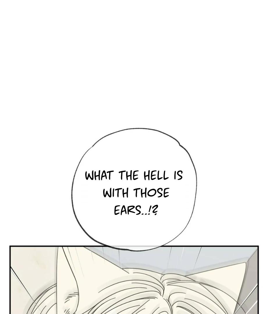 Raising a Cat Friend Chapter 2 page 4 - 