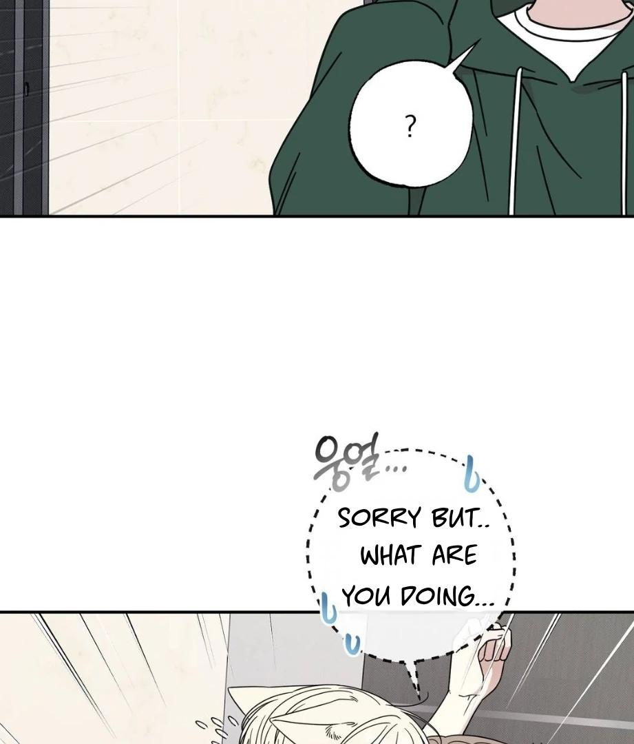 Raising a Cat Friend Chapter 2 page 10 - 