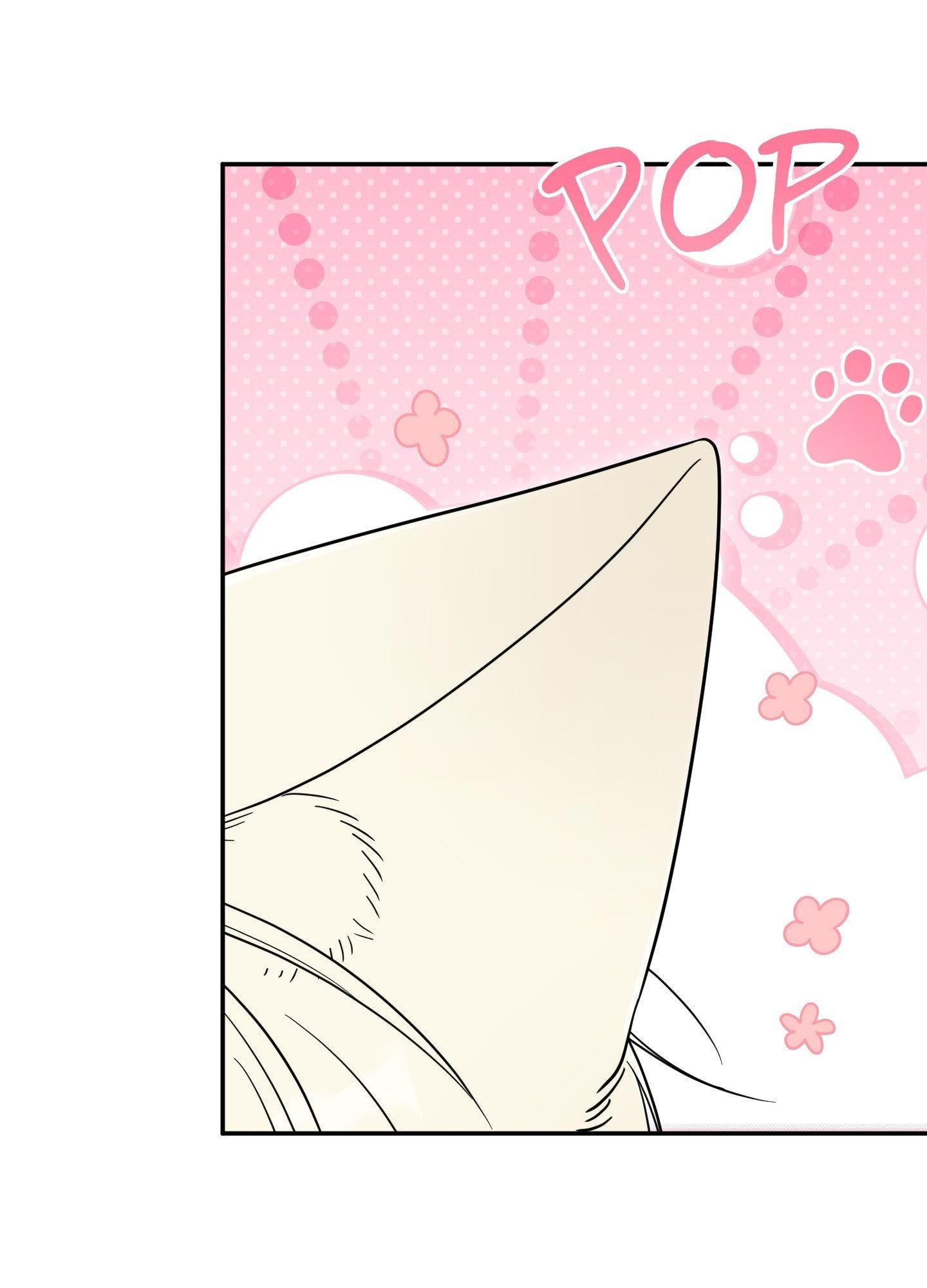 Raising a Cat Friend Chapter 22 page 43 - 