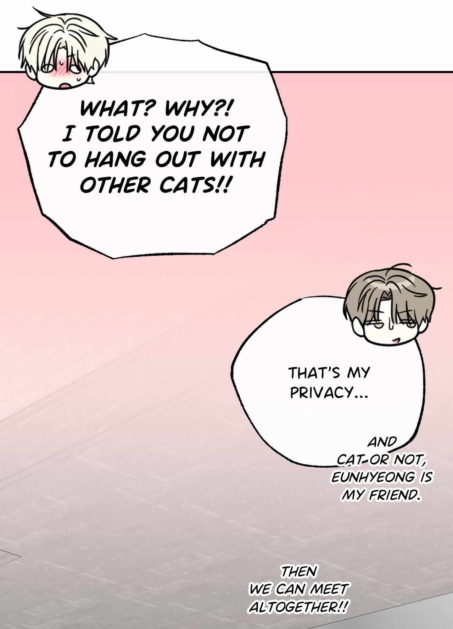 Raising a Cat Friend Chapter 24 page 51 - 