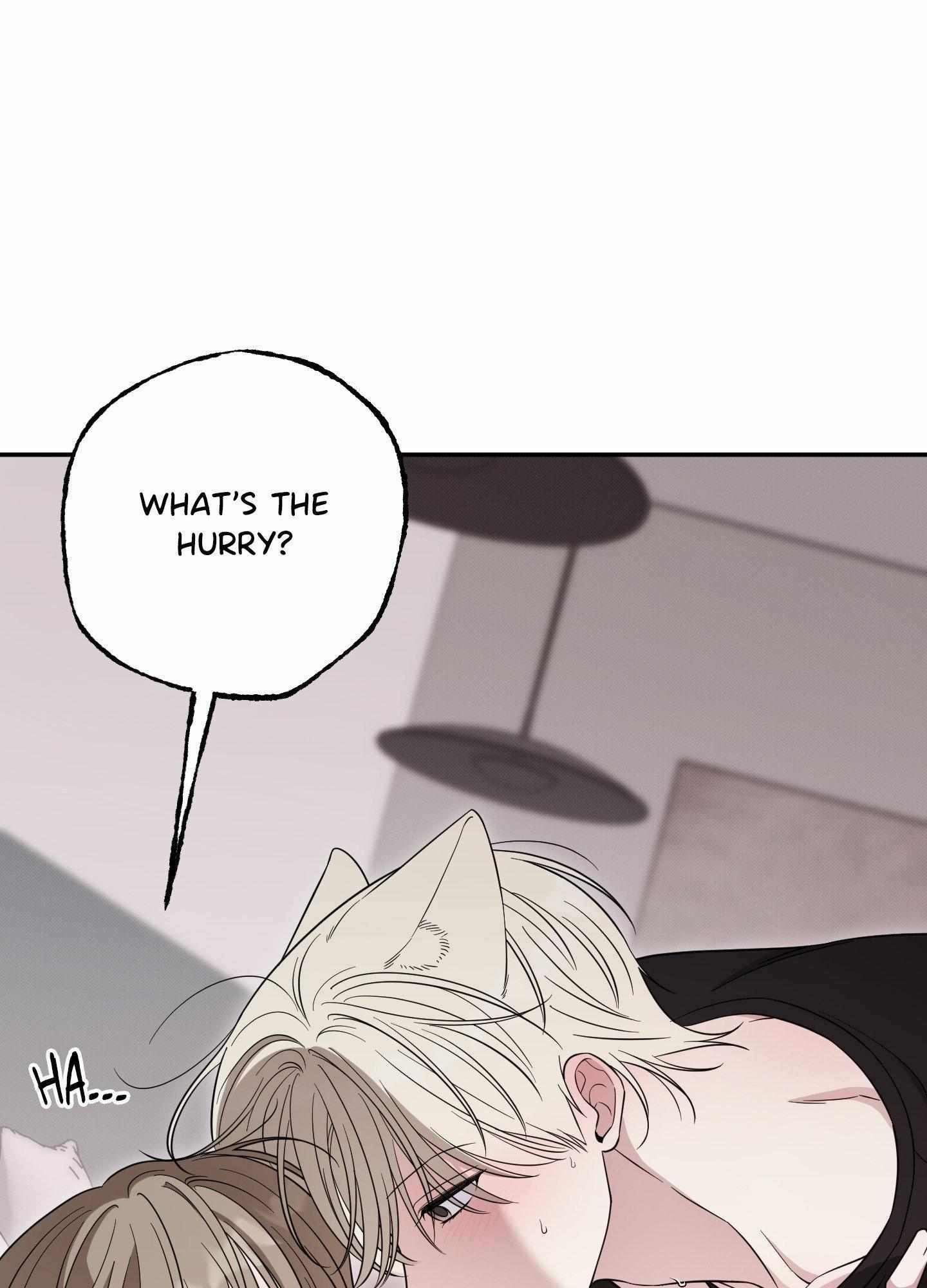 Raising a Cat Friend Chapter 24 page 77 - 