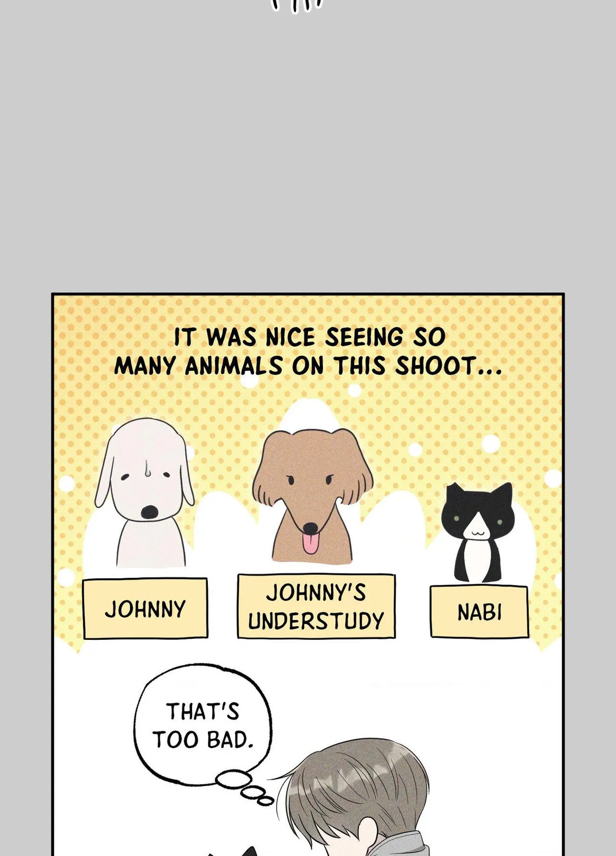 Raising a Cat Friend Chapter 29 page 62 - 