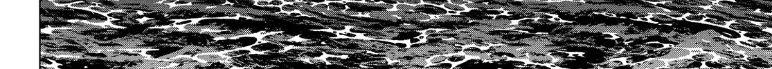 Ranger Reject Chapter 169 page 17 - 