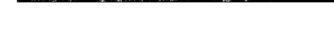 Ranger Reject Chapter 172 page 20 - 