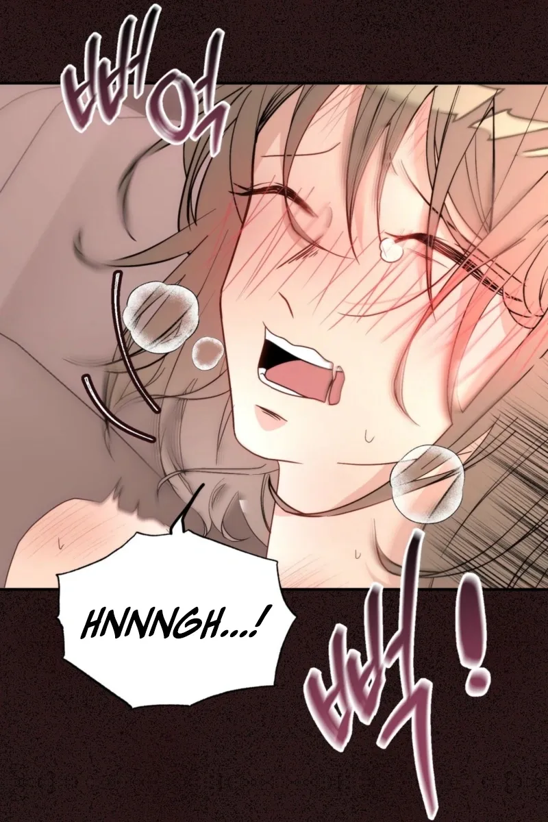 RE: Author, You
