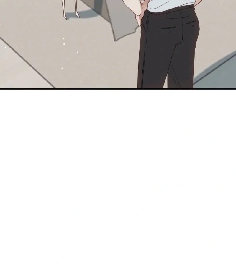 RE: Author, You