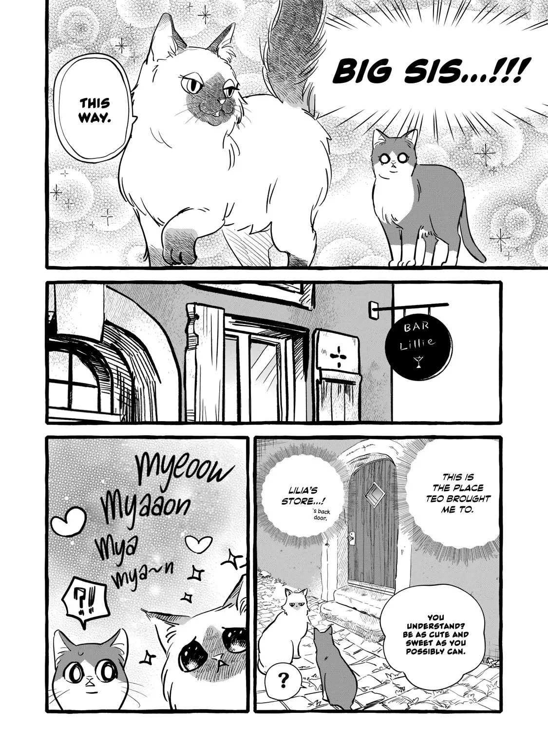 Re-employment Life With An Unsociable Untalkative Magician Chapter 10 page 56 - 