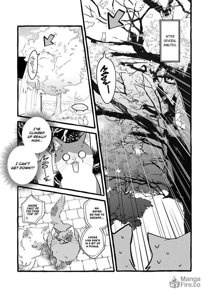 Re-employment Life With An Unsociable Untalkative Magician Chapter 11 page 12 - 