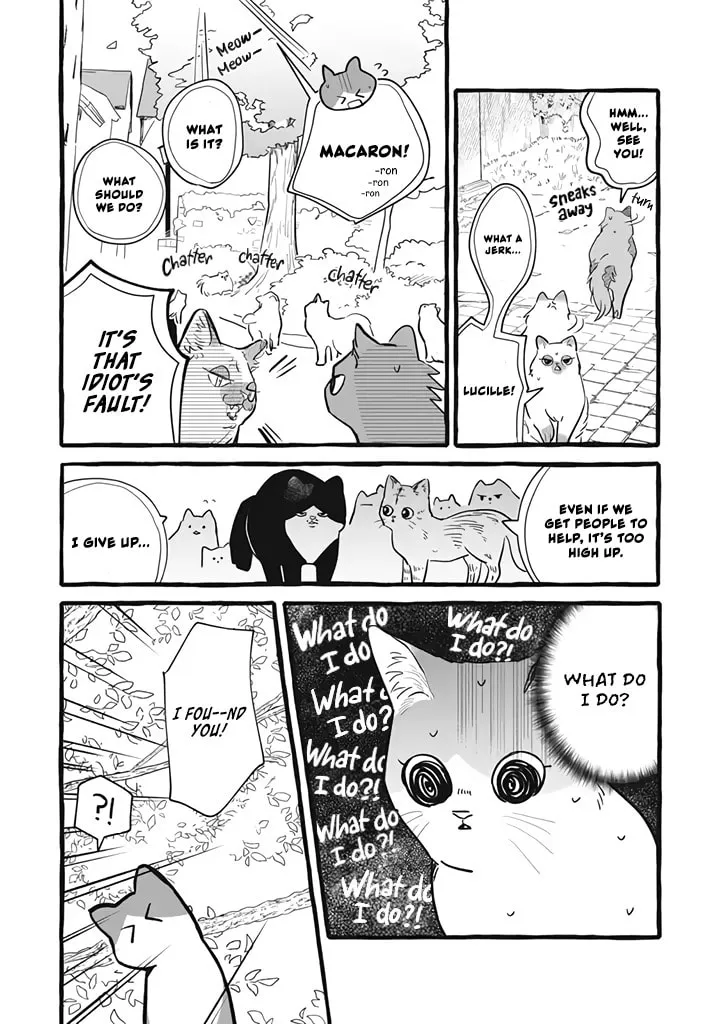 Re-employment Life With An Unsociable Untalkative Magician Chapter 11 page 13 - 