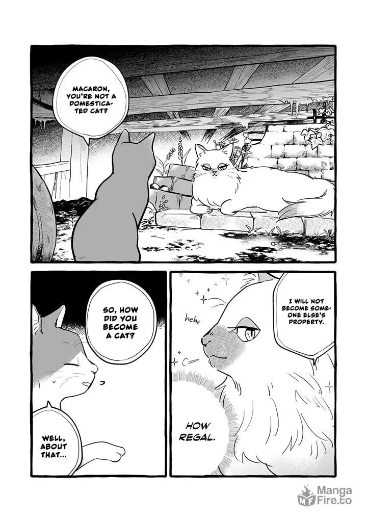Re-employment Life With An Unsociable Untalkative Magician Chapter 11 page 3 - 
