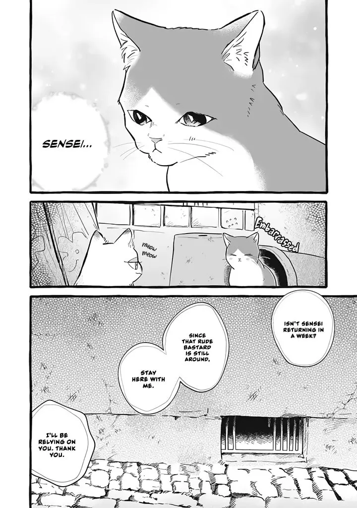 Re-employment Life With An Unsociable Untalkative Magician Chapter 11 page 7 - 