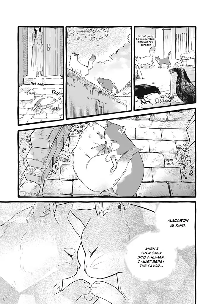Re-employment Life With An Unsociable Untalkative Magician Chapter 11 page 8 - 