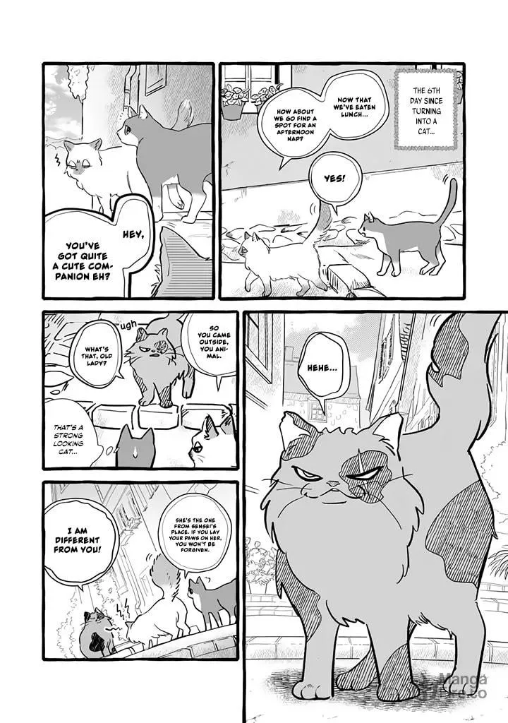 Re-employment Life With An Unsociable Untalkative Magician Chapter 11 page 9 - 