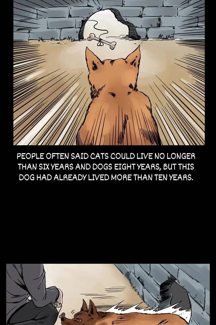 Real-Life Horror Stories Chapter 116 page 5 - 