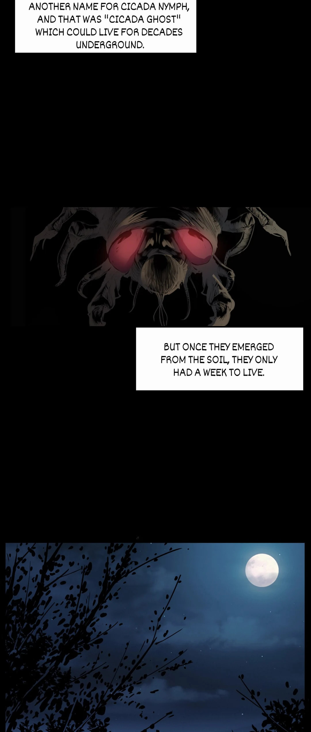 Real-Life Horror Stories Chapter 211 page 36 - 