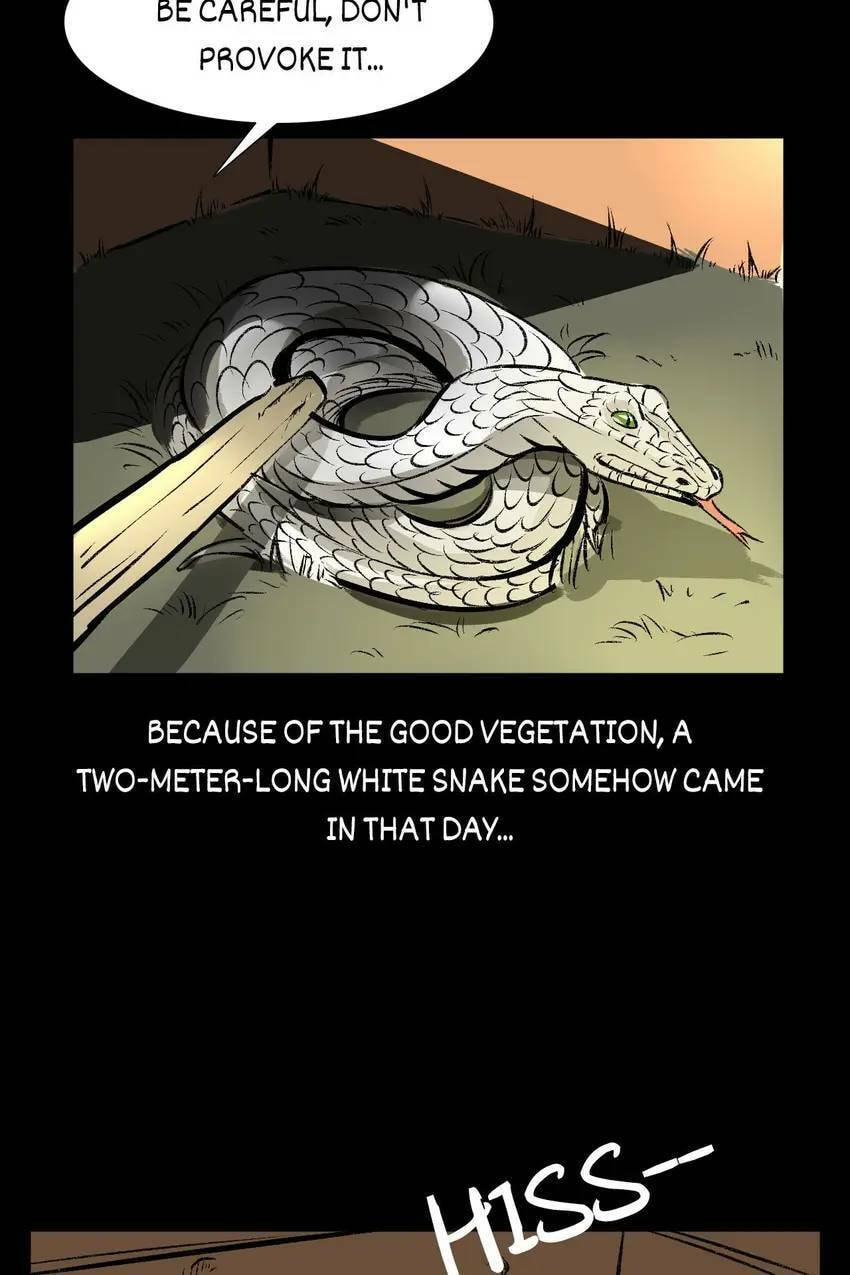 Real-Life Horror Stories Chapter 40 page 47 - 
