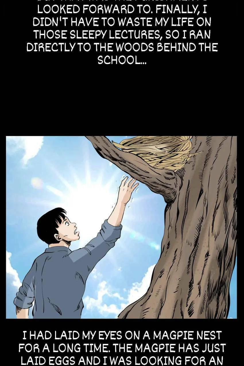 Real-Life Horror Stories Chapter 41 page 24 - 