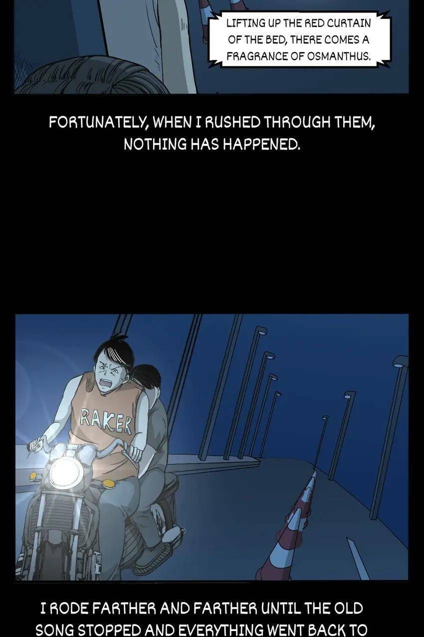 Real-Life Horror Stories Chapter 65 page 47 - 