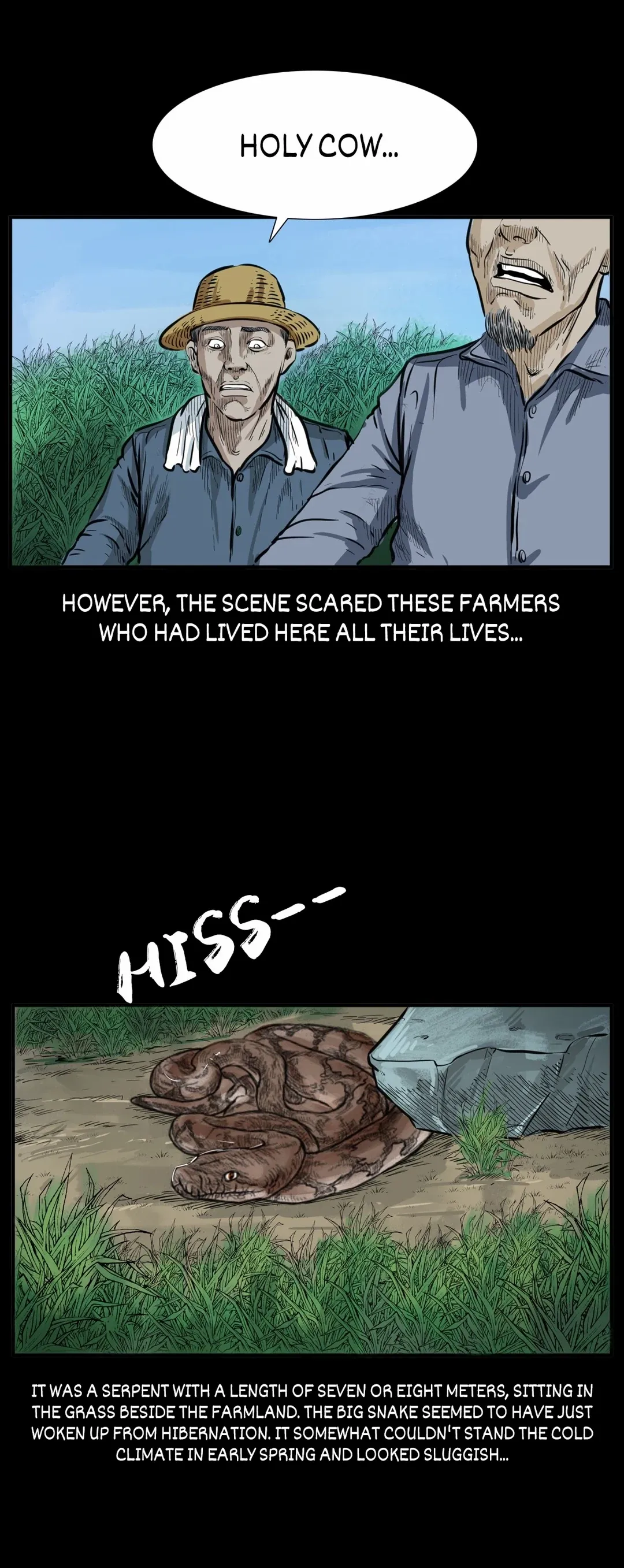Real-Life Horror Stories Chapter 8 page 5 - 