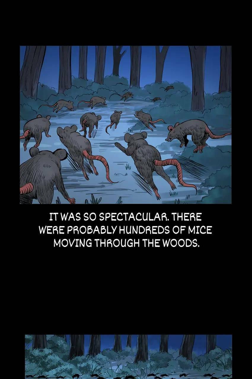 Real-Life Horror Stories Chapter 83 page 76 - 