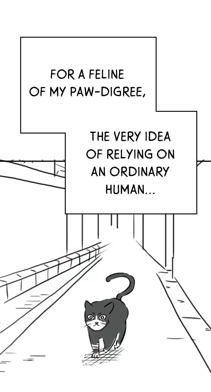 Reality Quest Chapter 5.1 page 16 - 