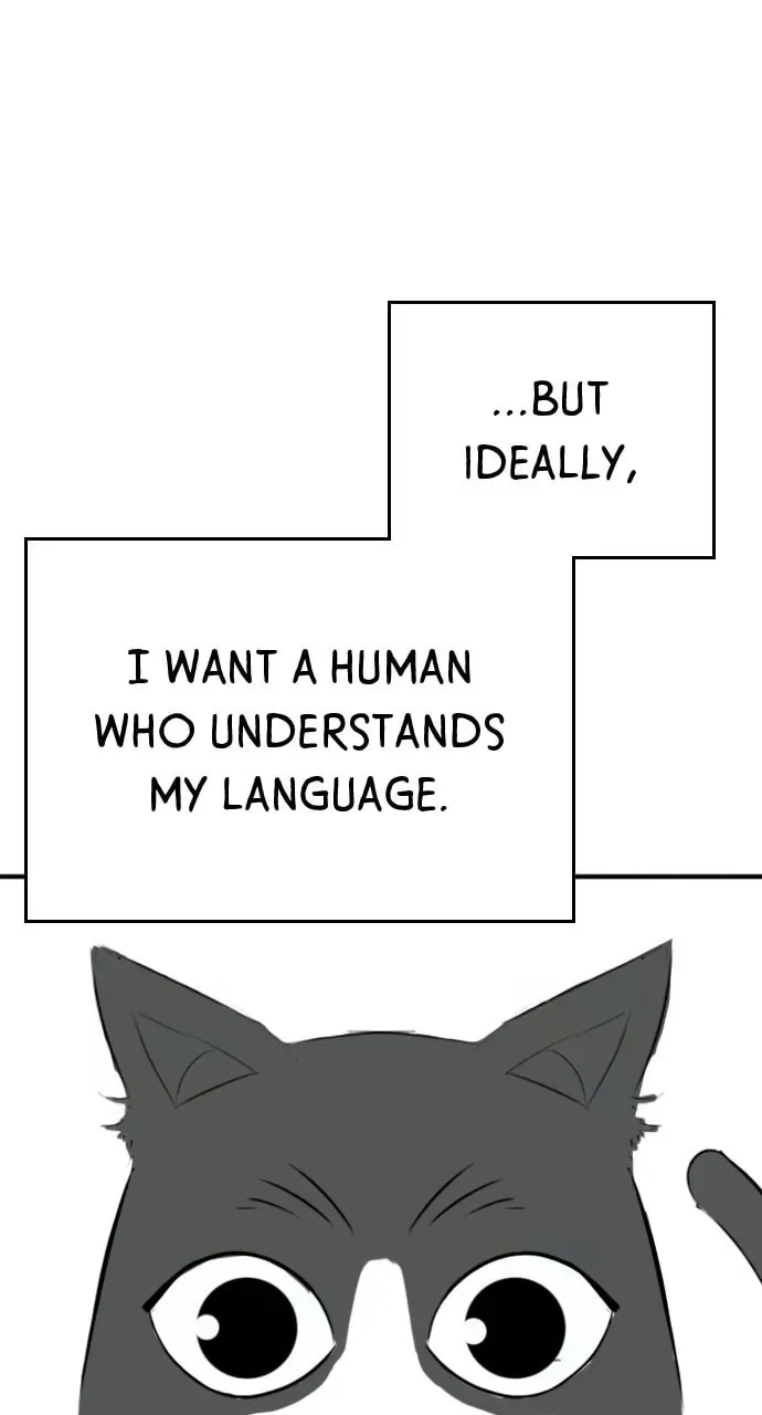 Reality Quest Chapter 5.1 page 19 - 