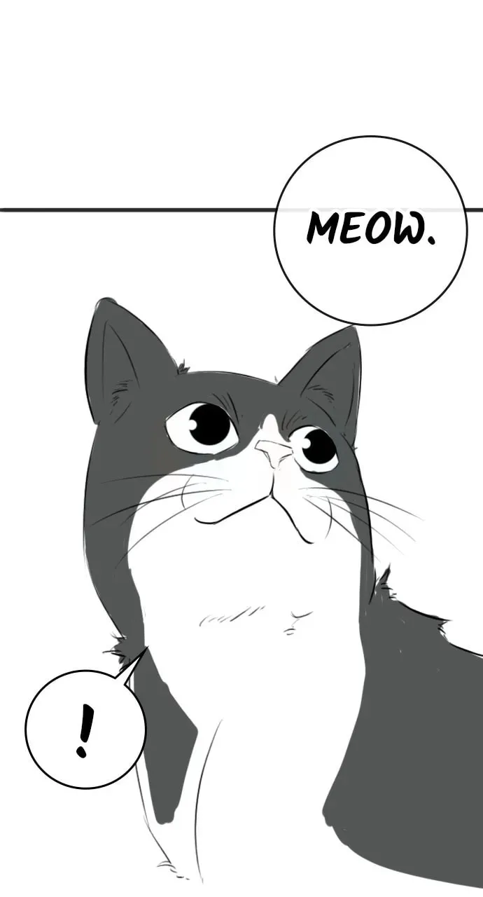 Reality Quest Chapter 5.1 page 38 - 