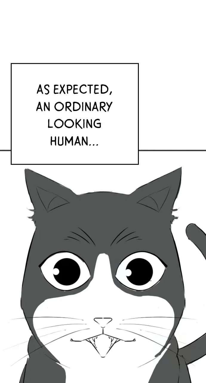Reality Quest Chapter 5.1 page 52 - 