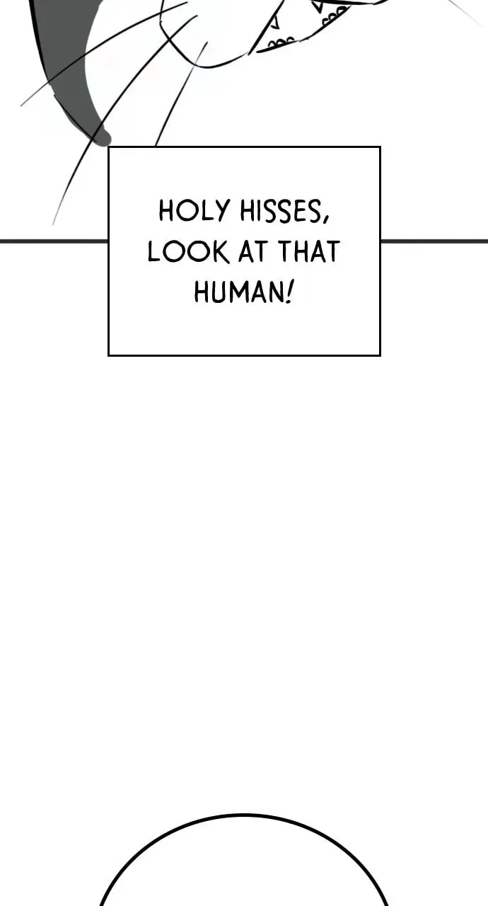 Reality Quest Chapter 5.1 page 56 - 