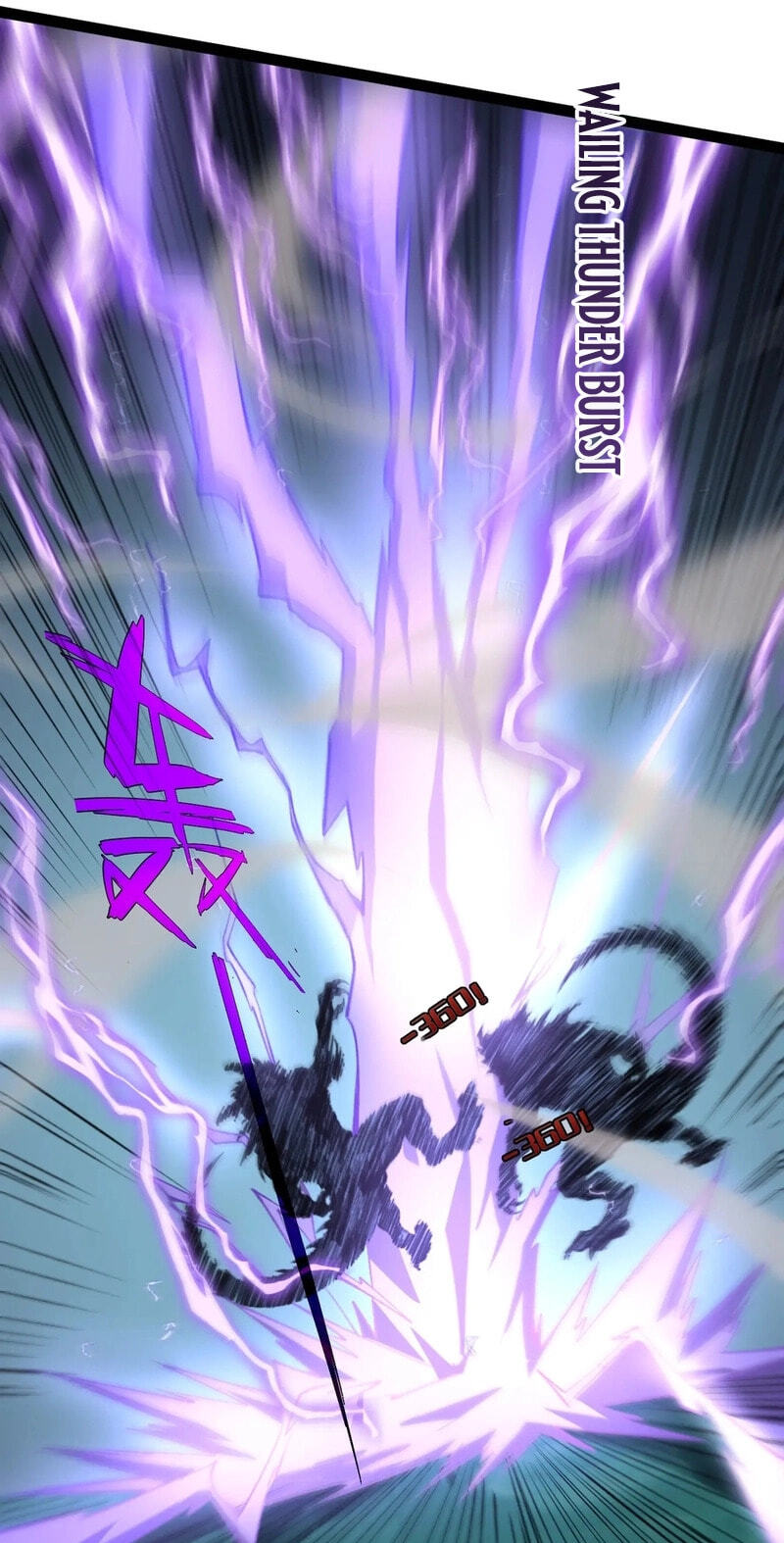 Rebirth of the Thief Who Roamed the World Chapter 24 page 51 - 