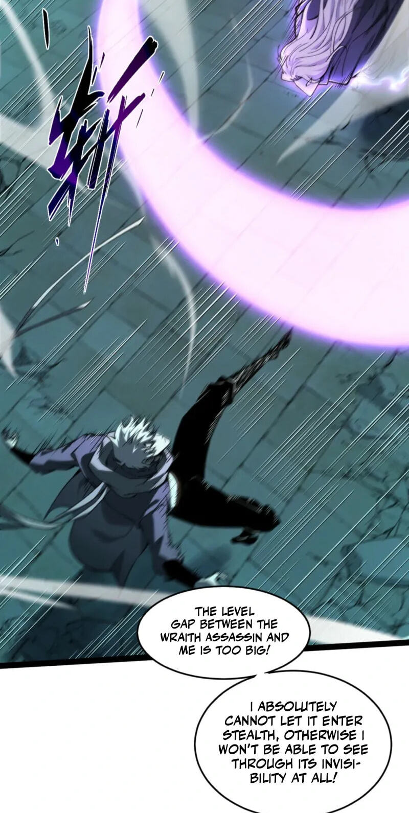 Rebirth of the Thief Who Roamed the World Chapter 26 page 29 - 