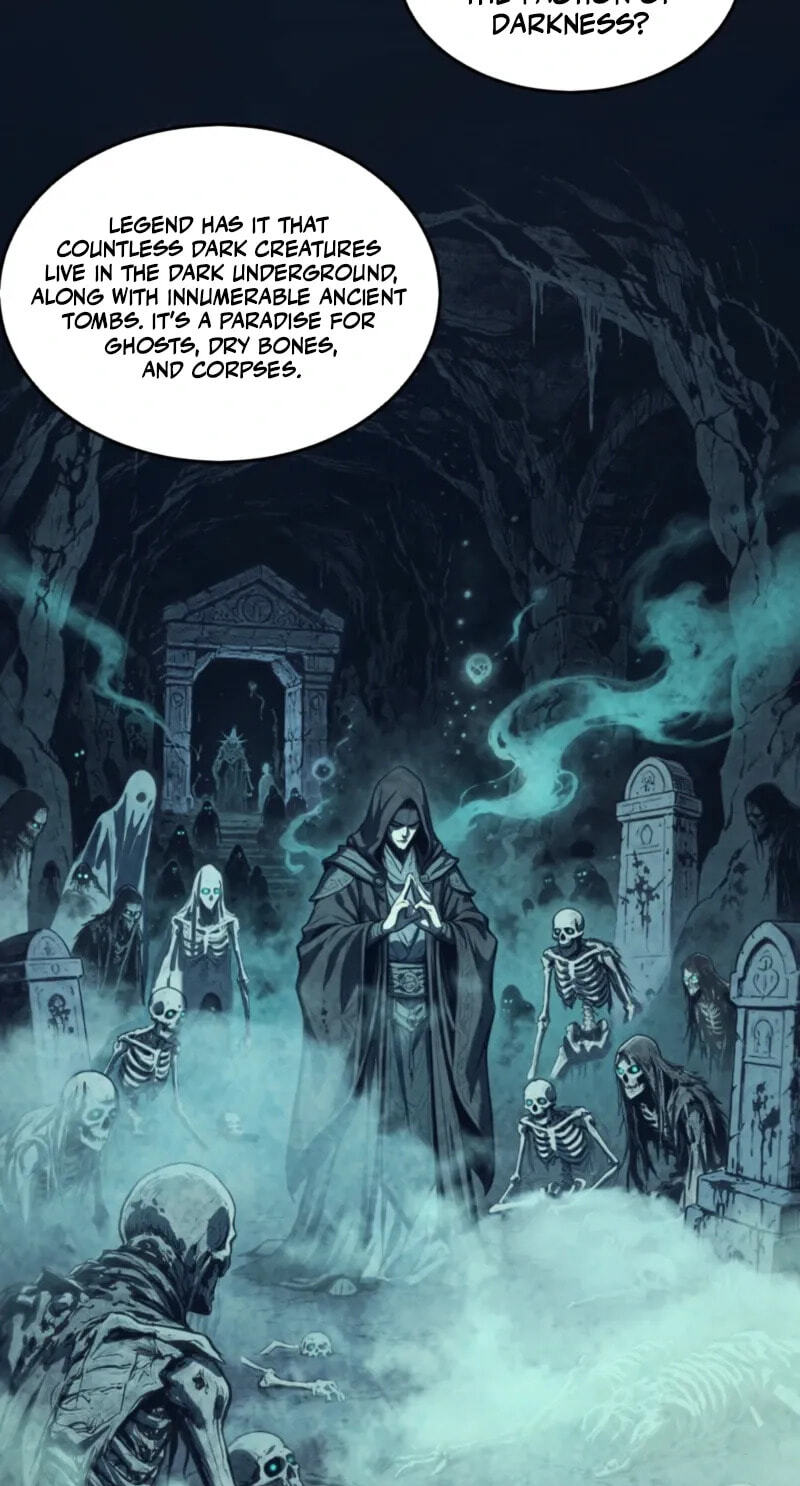 Rebirth of the Thief Who Roamed the World Chapter 26 page 48 - 