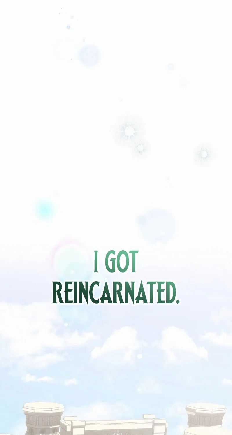 Reborn as the Overpowered Genius Lord Chapter 1 page 148 - 