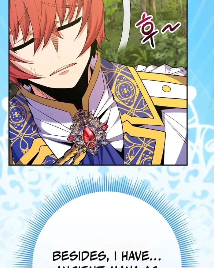 Reborn as the Overpowered Genius Lord Chapter 63 page 63 - 