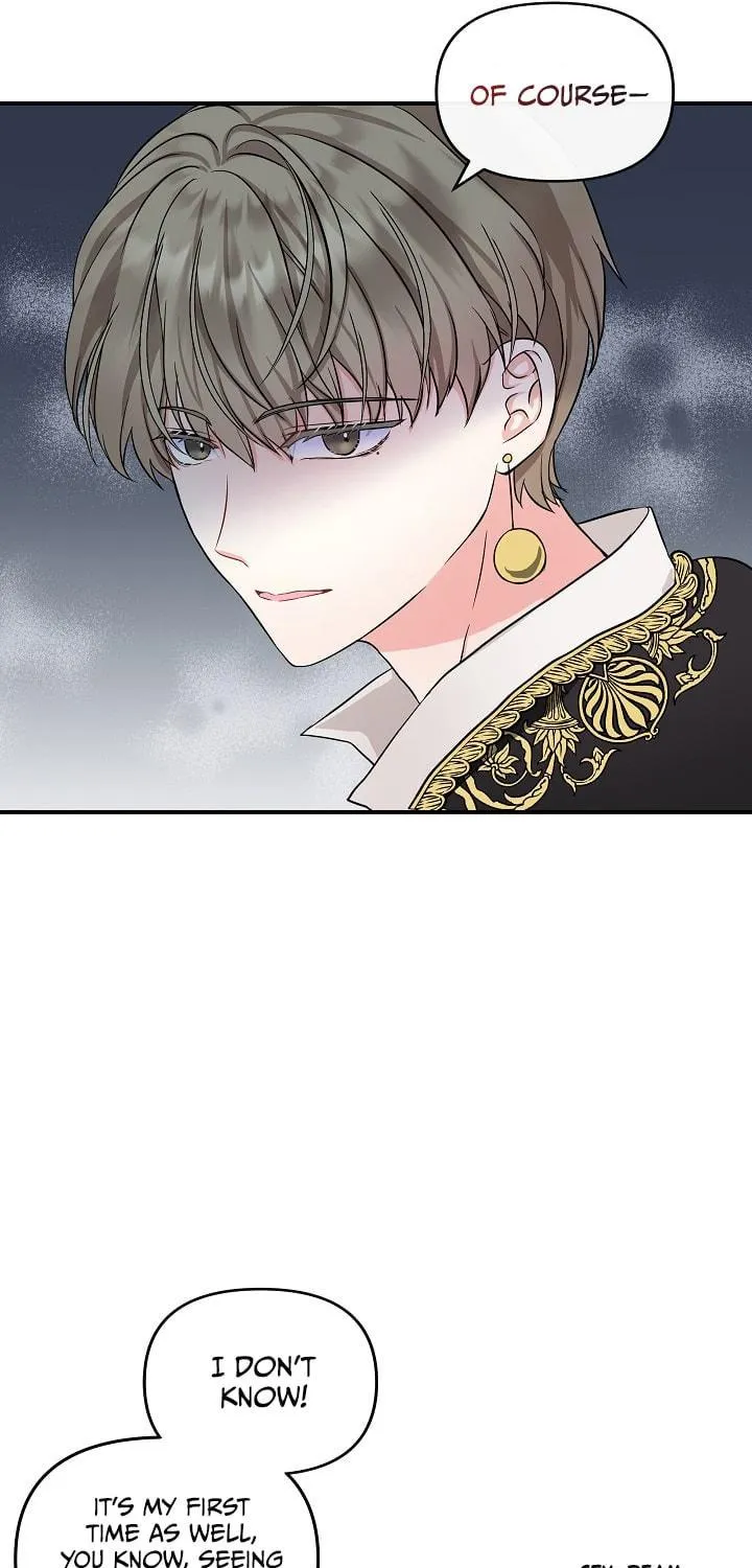 Reborn as the Protagonists