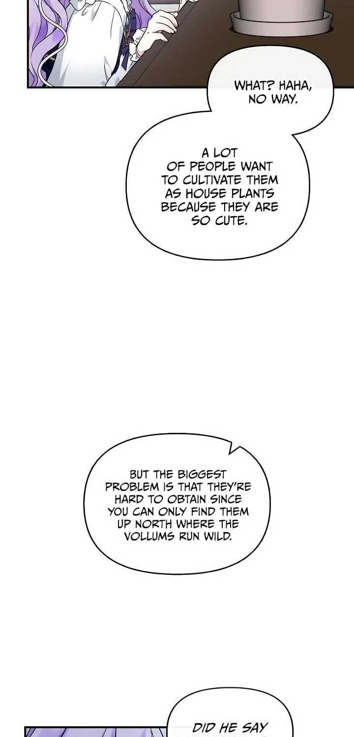 Reborn as the Protagonists