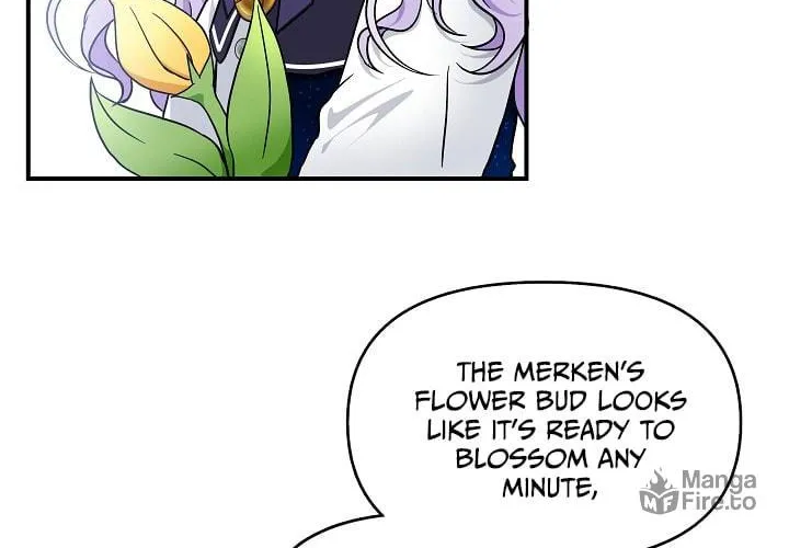 Reborn as the Protagonists