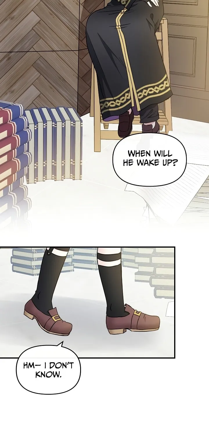Reborn as the Protagonists