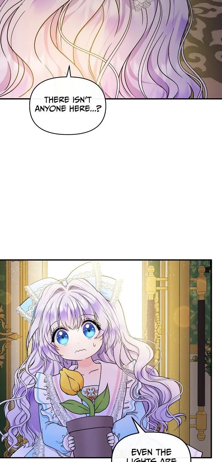Reborn as the Protagonists