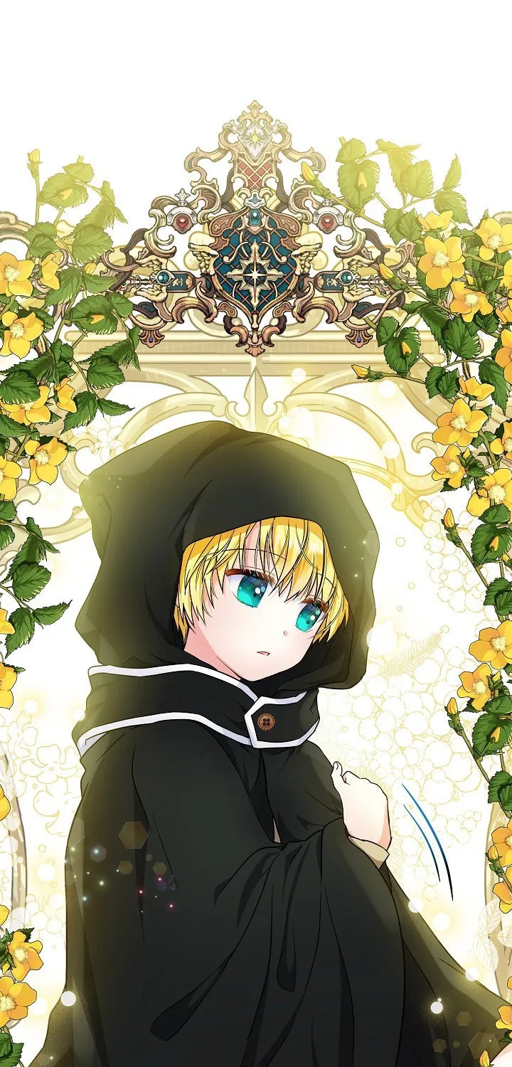 Reborn as the Protagonists