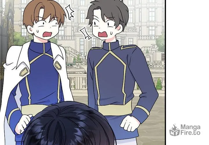 Reborn as the Protagonists