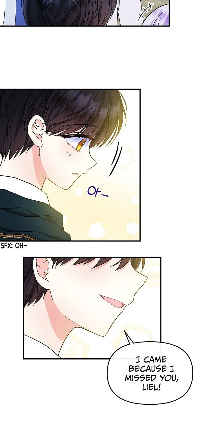 Reborn as the Protagonists