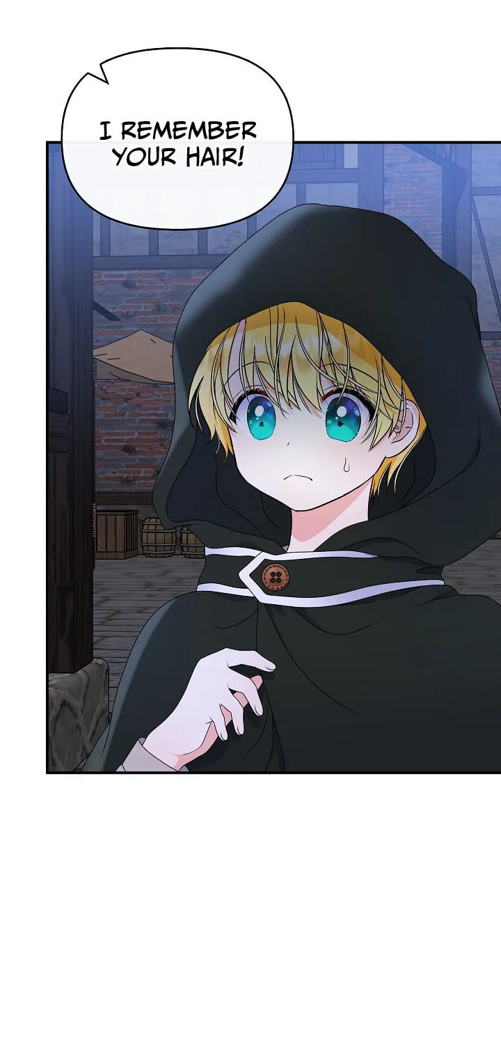 Reborn as the Protagonists