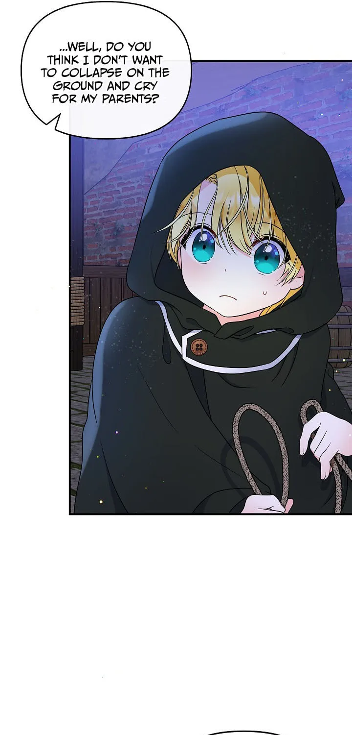 Reborn as the Protagonists