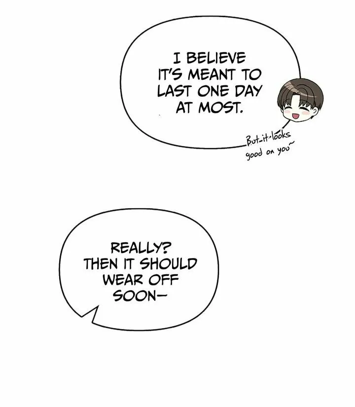 Reborn as the Protagonists